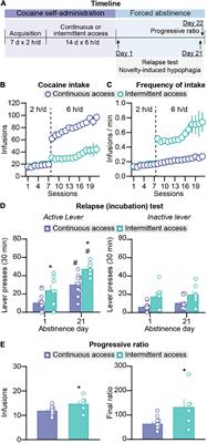 Dissociation Between Incubation of Cocaine Craving and Anxiety-Related Behaviors After Continuous and Intermittent Access Self-Administration